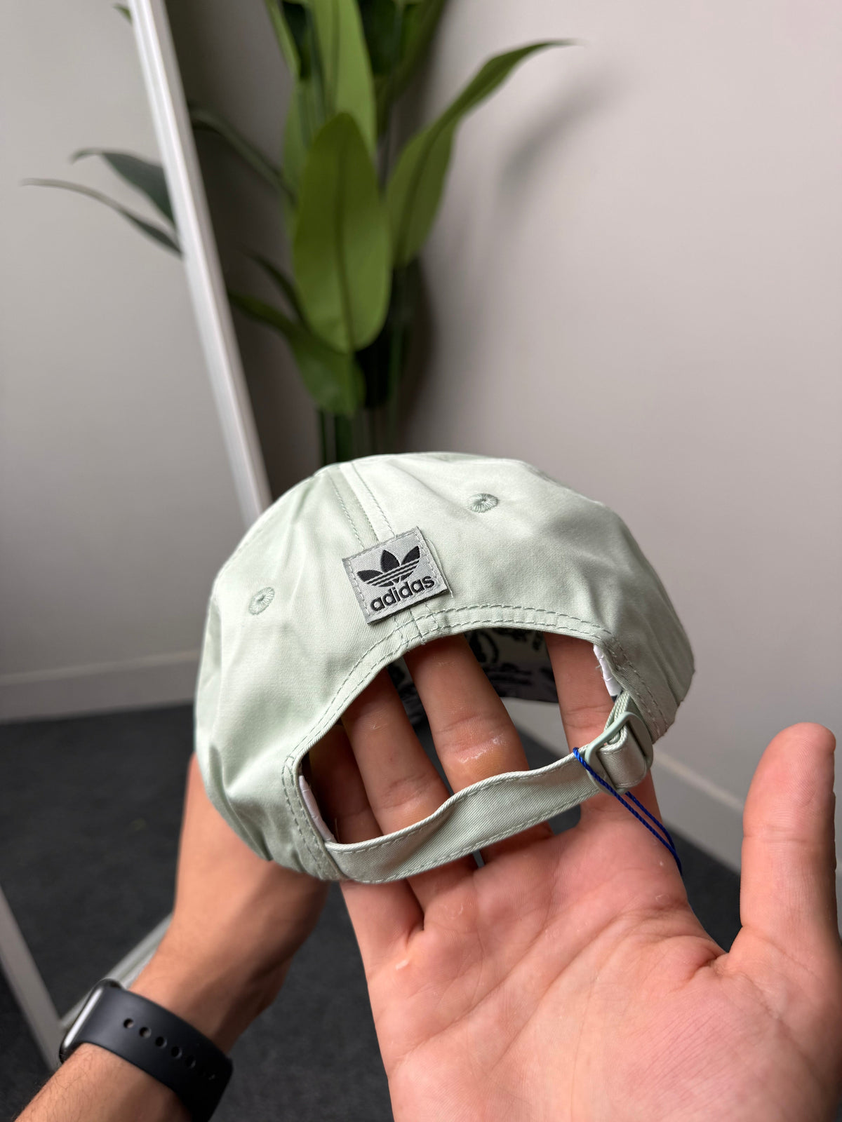 Adiddas Cap V1