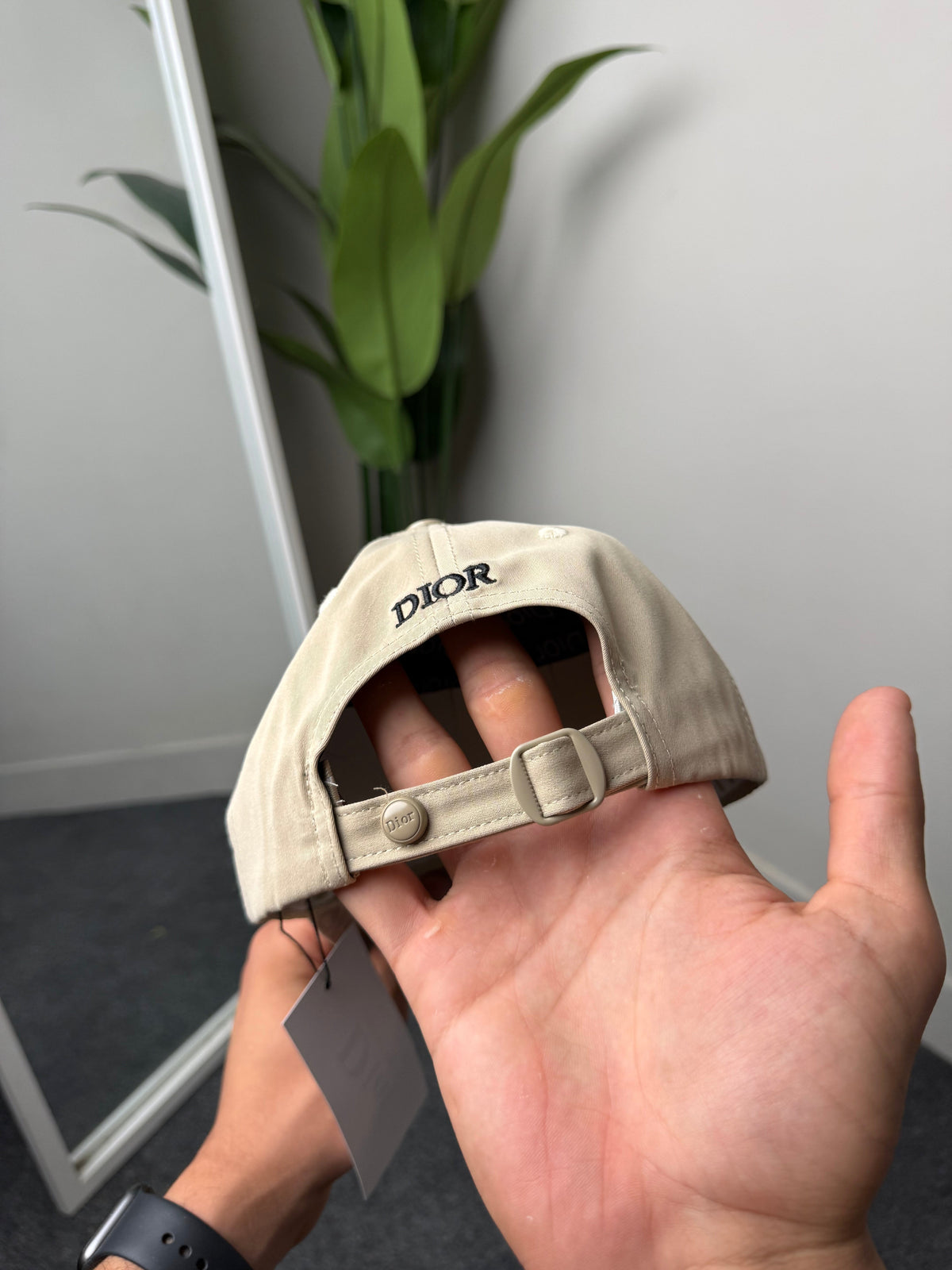 Dior Cap VV1